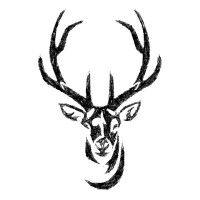 the exmoor carbon project ltd