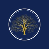 the linden tree decor limited