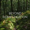 beyond domestication ltd