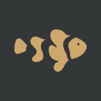 clownfish studios limited