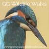 gg wildlife experiences ltd