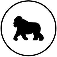 boldgorilla ltd