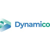 dynamico solutions ltd