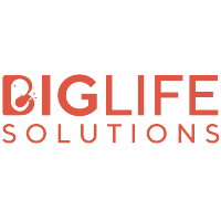 big life solutions limited