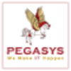 pegasys information technologies ltd