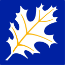 american hardwood export council