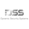 dynamic security solutions (llc) limited