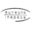 aureole inspecs (india) private limited