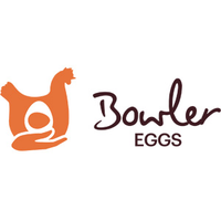 bowler eggs