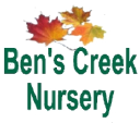 ben's creek limited