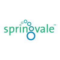 springvale eps limited