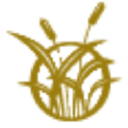 ashton manor limited