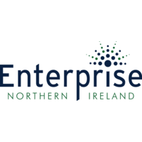 enterprise northern ireland ltd
