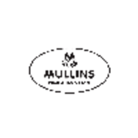 mullins ice cream ltd
