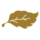 aspen developments limited