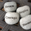 northwest counselling limited