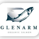 glenarm organic salmon limited
