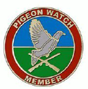 pigeon watch ltd
