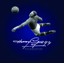 harry gregg foundation