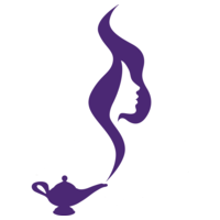 genie insights ltd