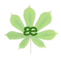 aesculus consulting ltd