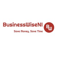 businesswiseni ltd