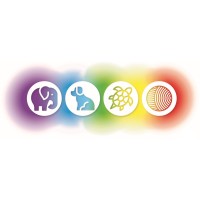 fresh minds education ltd