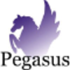 pegasus portfolio planning llp