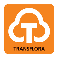 transflora llp