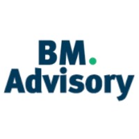 bm advisory llp