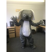 amber valley developments llp