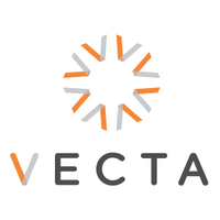 vecta risk partners llp