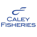 caley fisheries limited