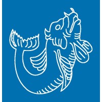 submarine technology limited