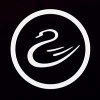 cygnus automotive limited