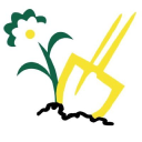 silver birch (scotland) limited