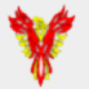 phoenix plumbing & heating contractors limited