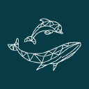 hebridean whale and dolphin trust limited