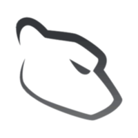 cheetah advanced technologies limited