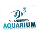 st. andrews aquarium limited