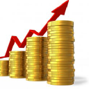 fin management limited