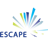 escape recruitment services limited