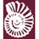 orkney fossil & vintage centre