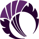 cricket scotland limited