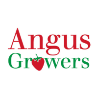 angus growers limited