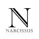 narcissus flowers ltd.