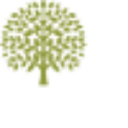 russell gibson financial management limited