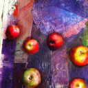 girvan community garden