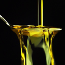 morocco gold limited