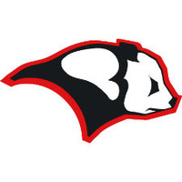 pandamonium racing limited